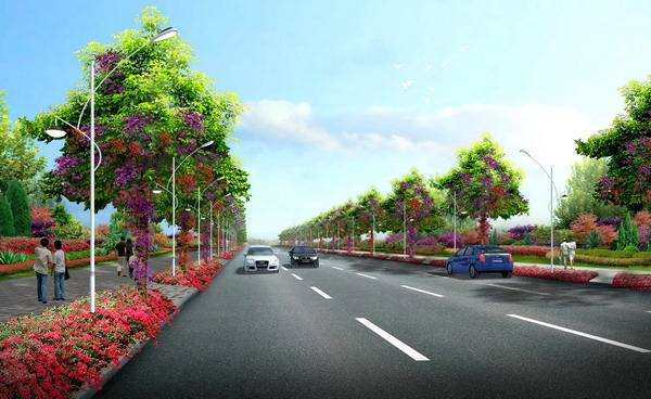 大荔縣道路綠化提升工程